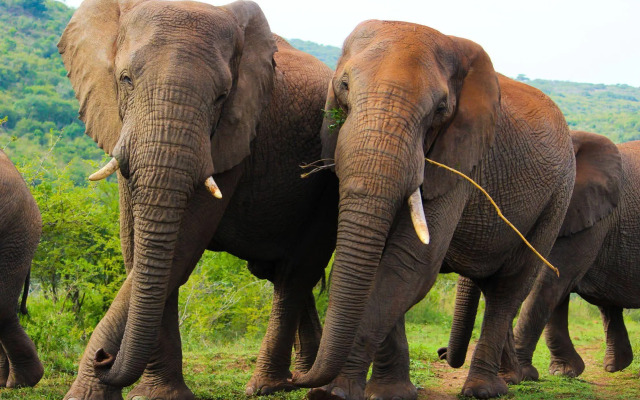 Thula Thula Game Lodge