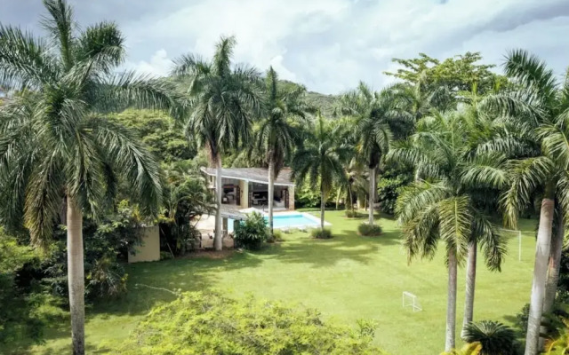 Yeguas V43 by Wynwood House