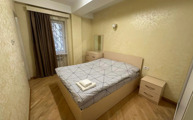 Comfortable apartment in center