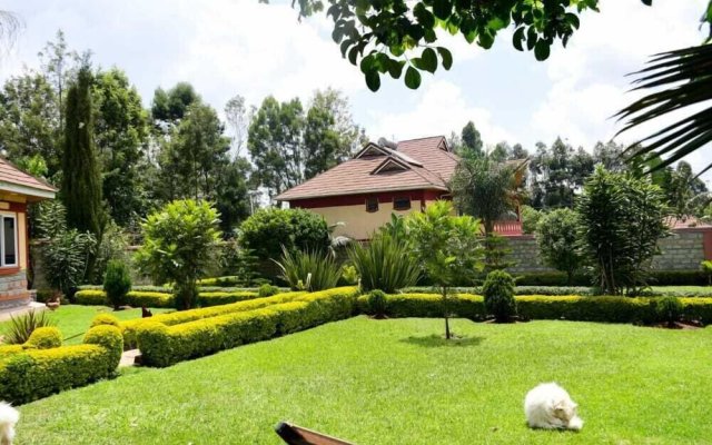 Lux Suites Elgon view Holiday House