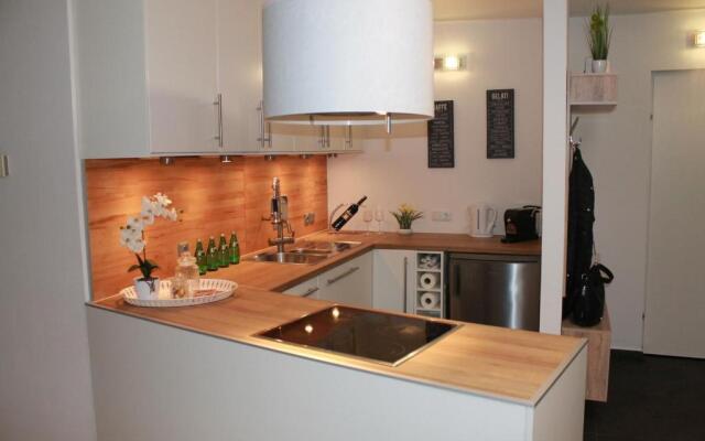 Urban-Style Apartment