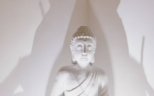 Charme Pettinari 11 people