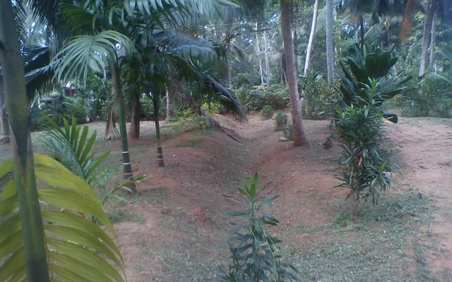 swarna home stay