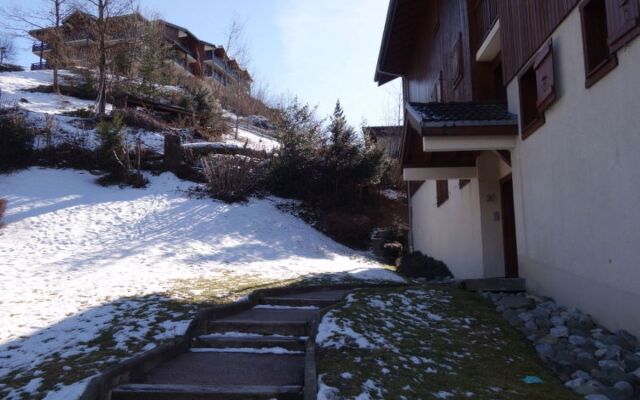 Pointe des Aravis B13 14007