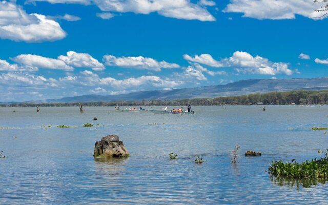 Lake Naivasha Crescent Camp