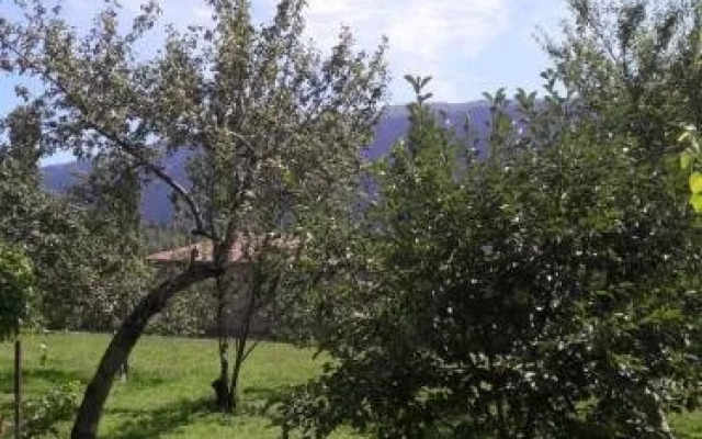 Sopio Guesthouse