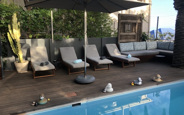 The Tree House Boutique Hotel