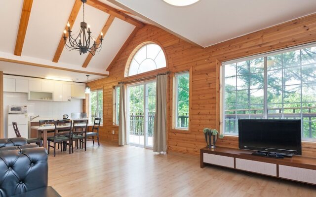 Forest of Morning Calm