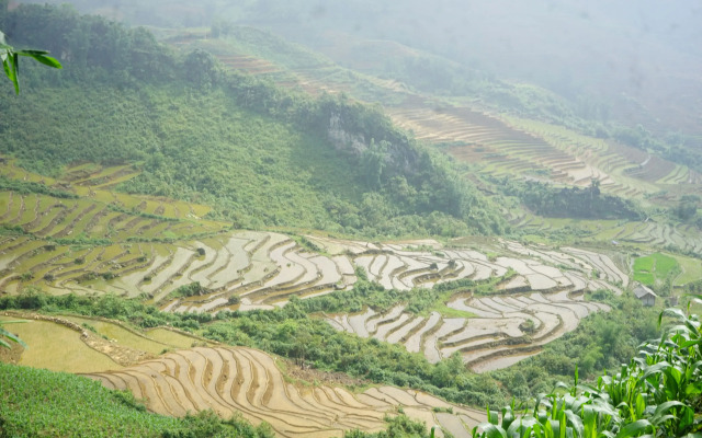 Saigonese Trekking House - Hostel