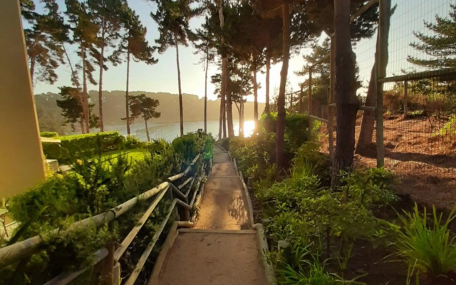 Pinares del Canelillo