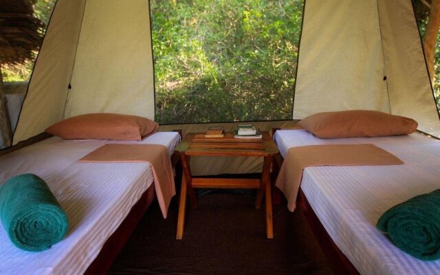 Palpatha Eco Safari Lodge