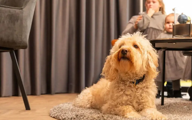 Loosdrecht Water Villa