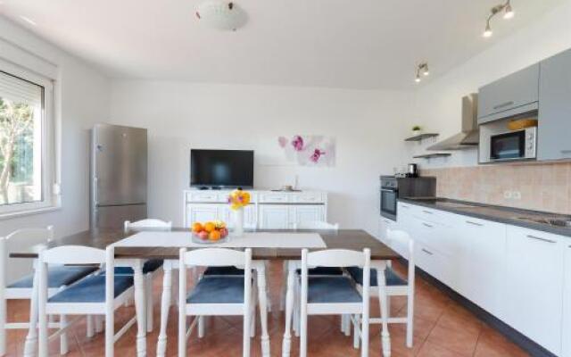 Apartment Branka