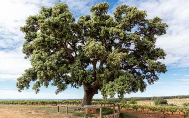 Hotel Rural Entreviñas