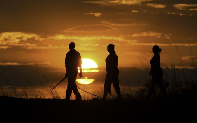 Selinda Camp