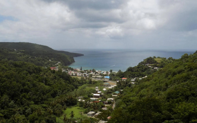 Tropical Paradise View