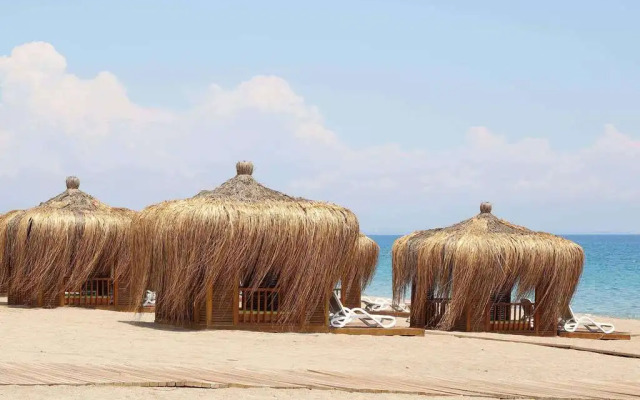 Juju Premier Palace 