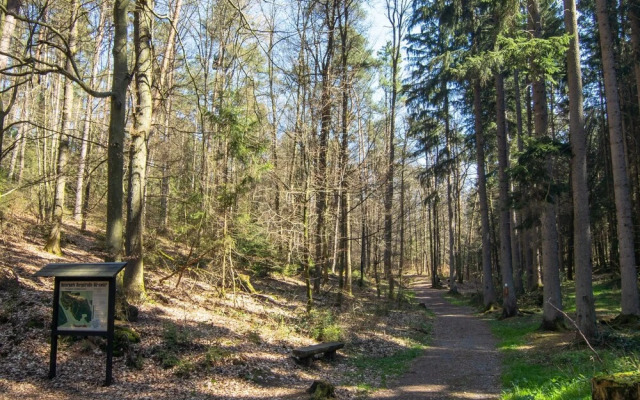 Apartment in the Odenwald With Terrace