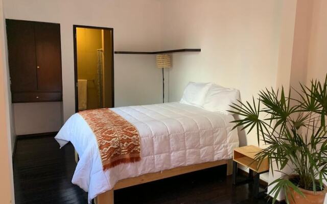 The Reef House Condesa