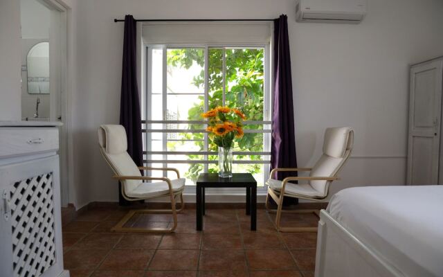 Hotel Villa Iguana