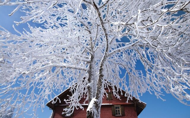 Mountain Chalet With Garden And Parking In Grindelwald