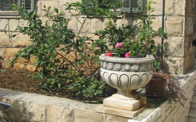Sea View West Room With Bath, Kitchen, Yakuzzi on Terrace