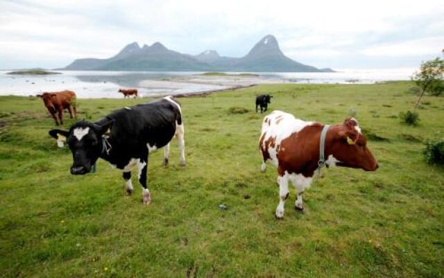 Topcamp Havblikk - Helgeland