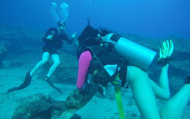 Saipan Marine Dive & Guest House