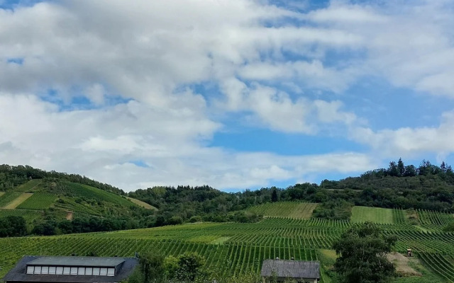 FeWo's Wintrich by Brauneberger Hof