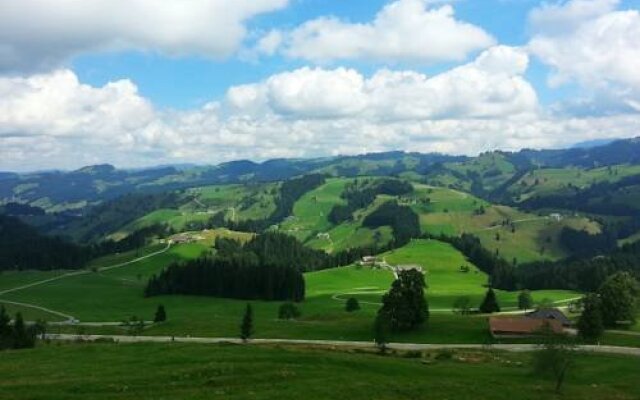 Schlaraffenland Handels