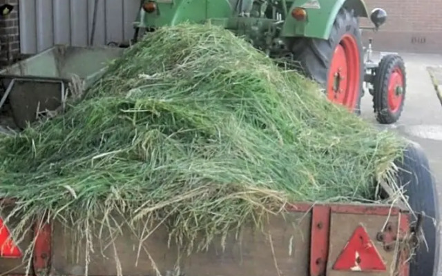 Bed and breakfast Hoeve Spoorzicht