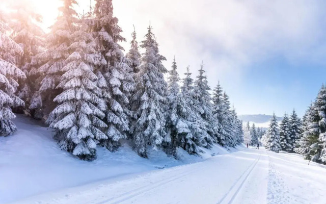 Old Town Museum Apartment