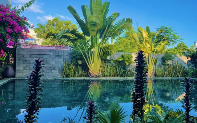 Hoi An Cabbage Garden