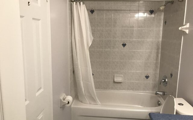 Tz Lake Ontario View