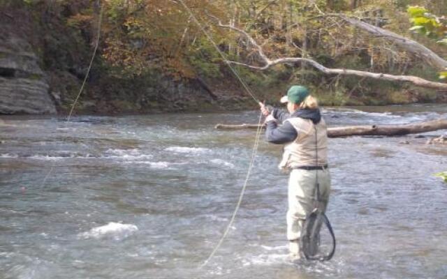 A B&B At Llewellyn Lodge