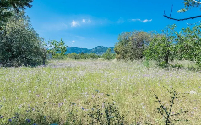 Villa in Campanet With Private Pool & Tennis