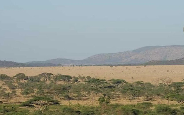 Seronera Wildlife Lodge