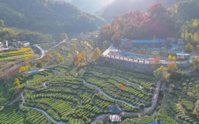 Zhuxi Tea Garden · Homestay – Outside – Anqing