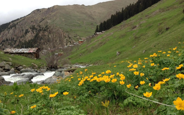 Yedigoller Hotel & Restaurant