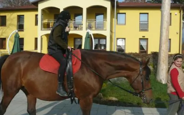 Penzion Hippoclub