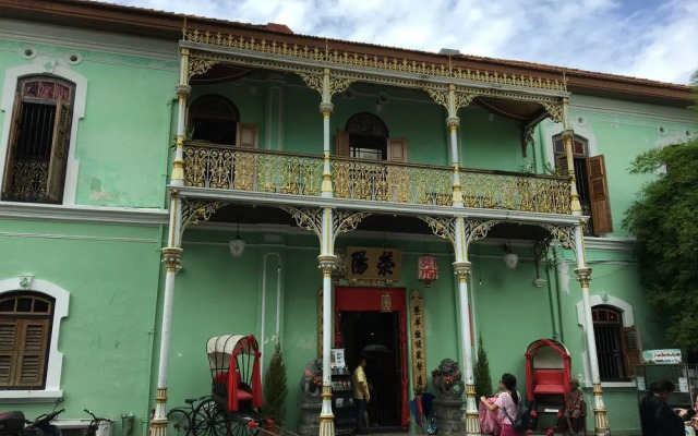 Sea Lion by the Beach
