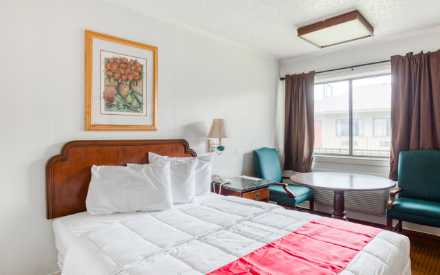 OYO Hotel San Antonio East