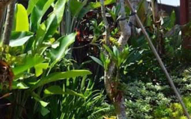 Magenta Spa, Bed & Breakfast