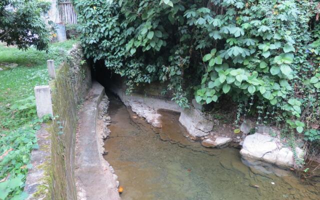 Casa Verde Xilitla by Rotamundos