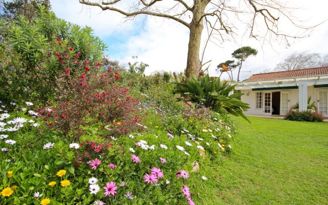 Beluga of Constantia Guest House