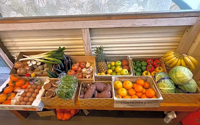 Glamping Village LEAF