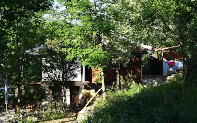 Old House Lisec