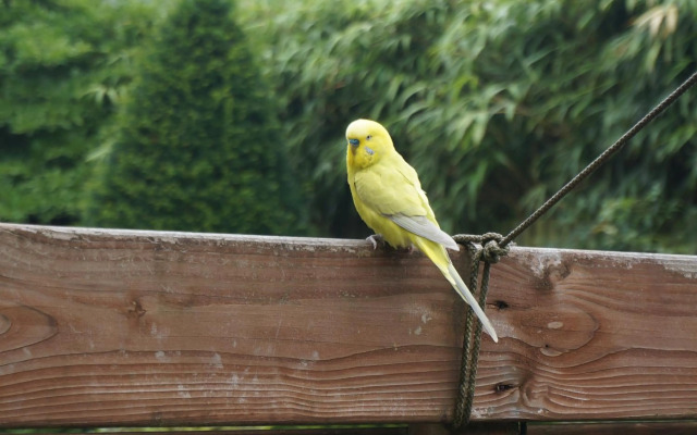 Xaviera's Bed and Breakfast