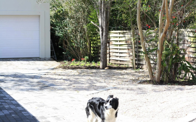 Sarah's Place- Manor House