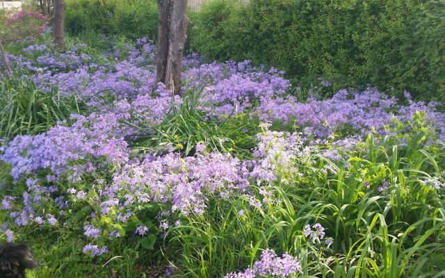 Spahn House Bed and Breakfast